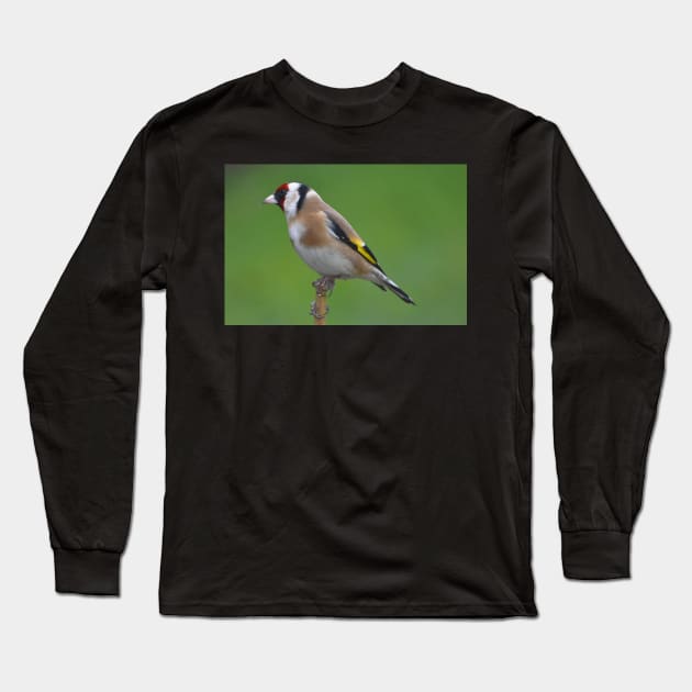 Goldfinch Long Sleeve T-Shirt by declancarr